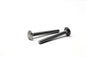 Bolt 6mm x 60mm