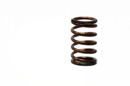Gland Spring 1/2"