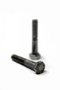 Pan Bolt 6mm x 35mm
