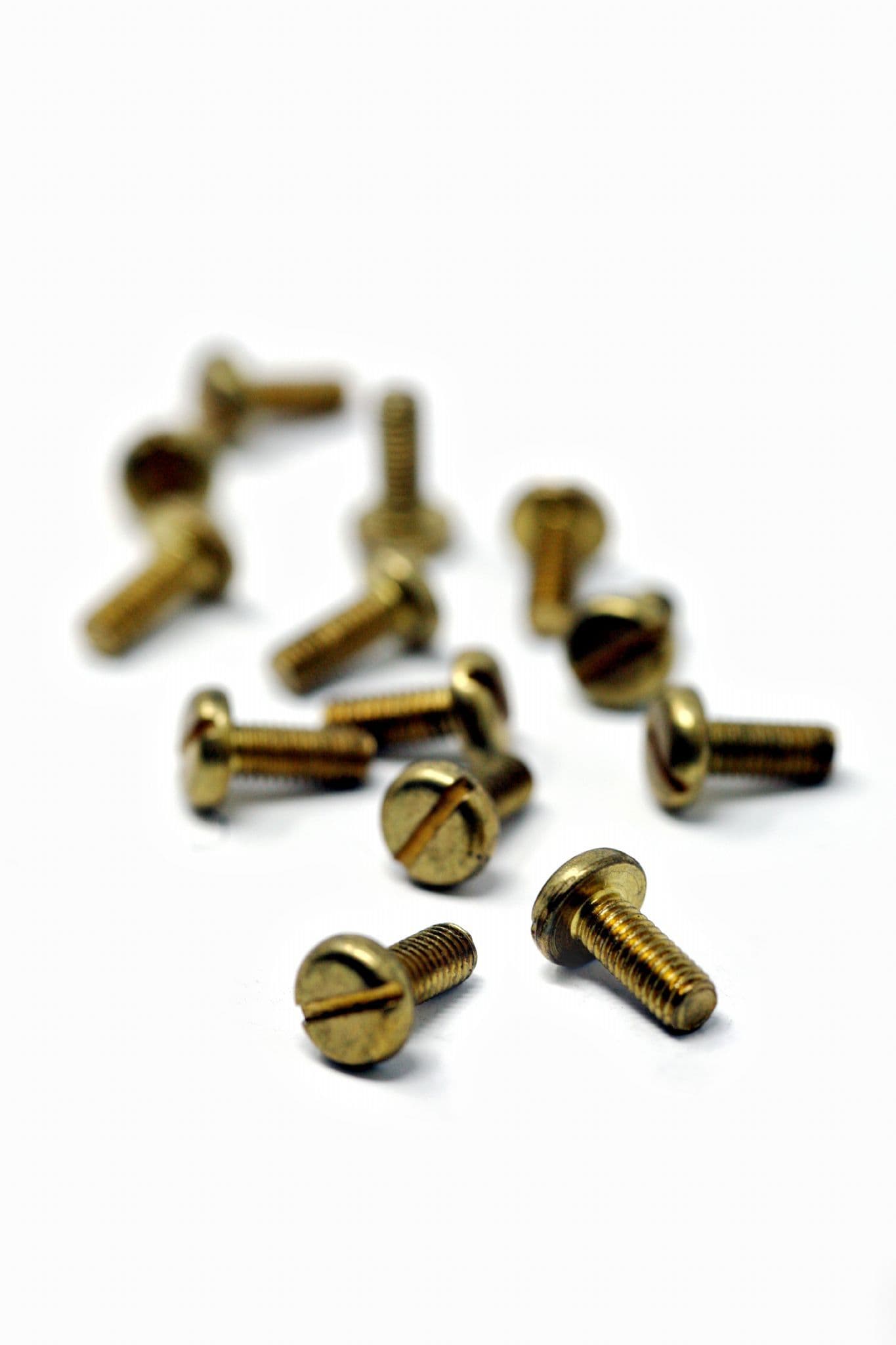 Screw 5mm x 12mm Pan Head Brass