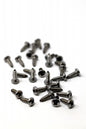 Screw Self Tapping